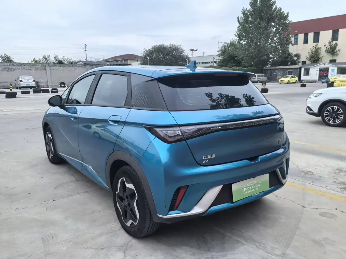 BYD dolphin