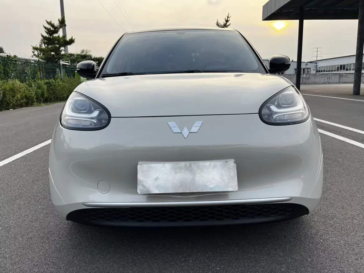 Wuling Bingo