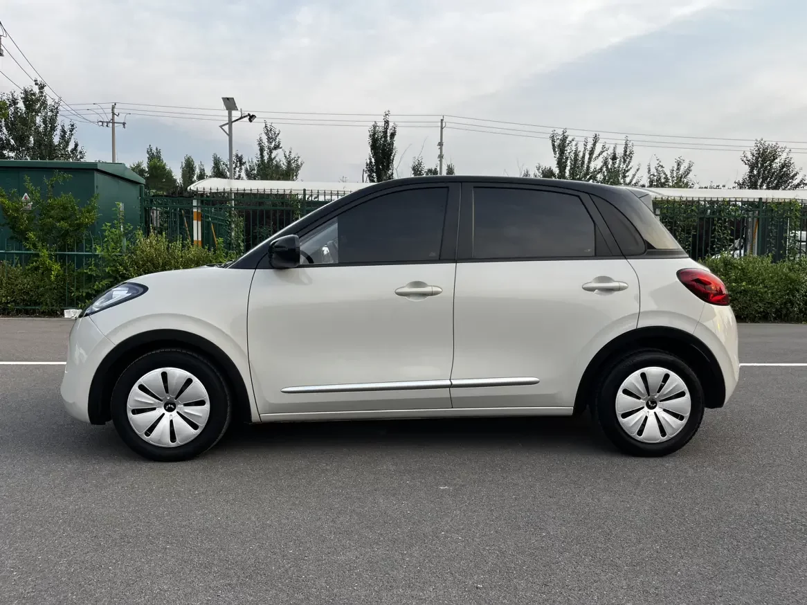 Wuling Bingo