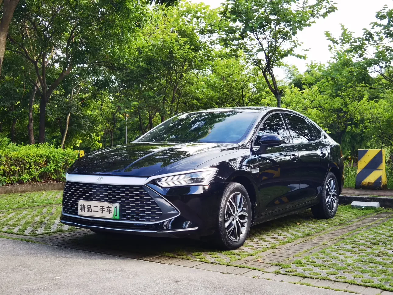 BYD Qin PLUS DM