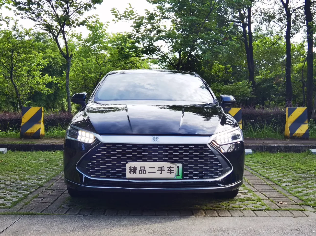 BYD Qin PLUS DM