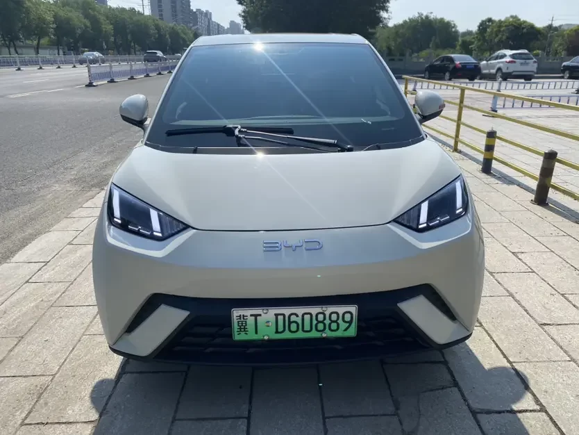BYD seagull