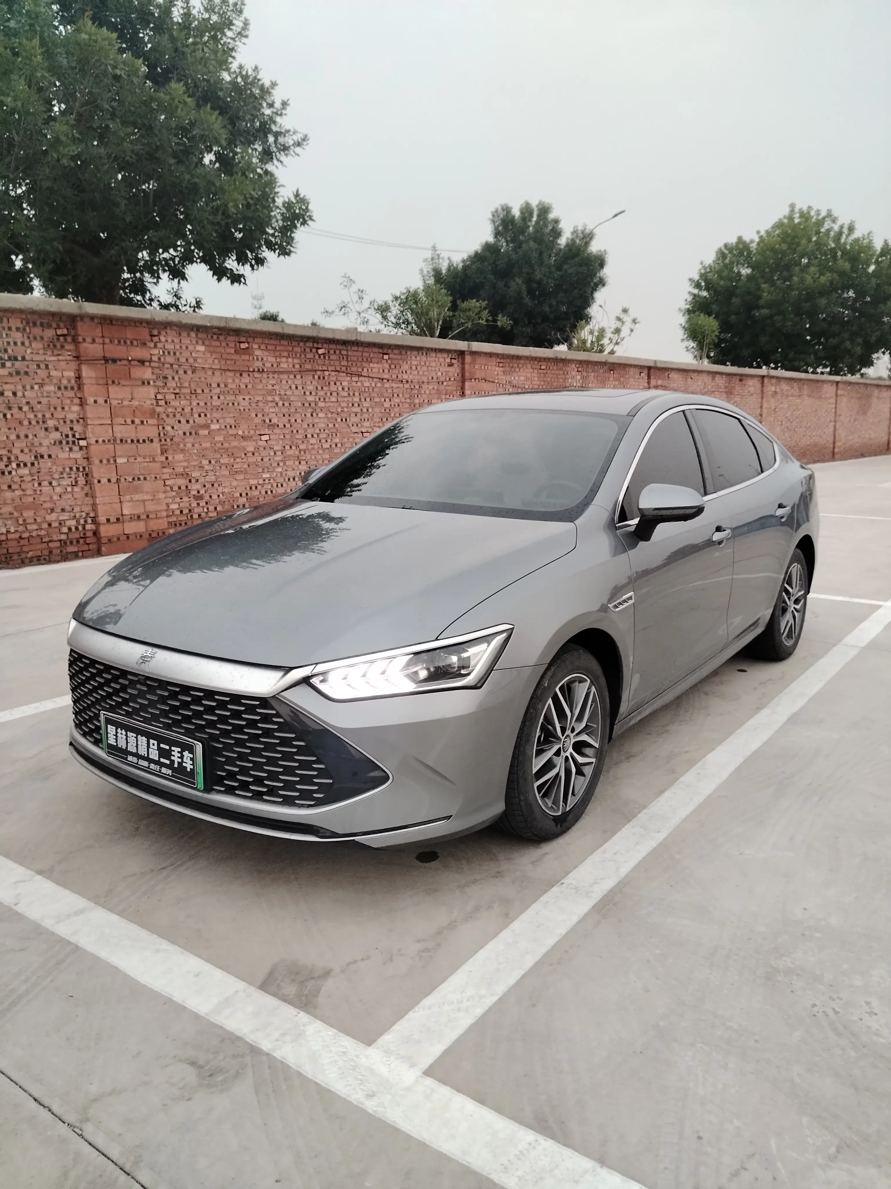 BYD Qin PLUS DM