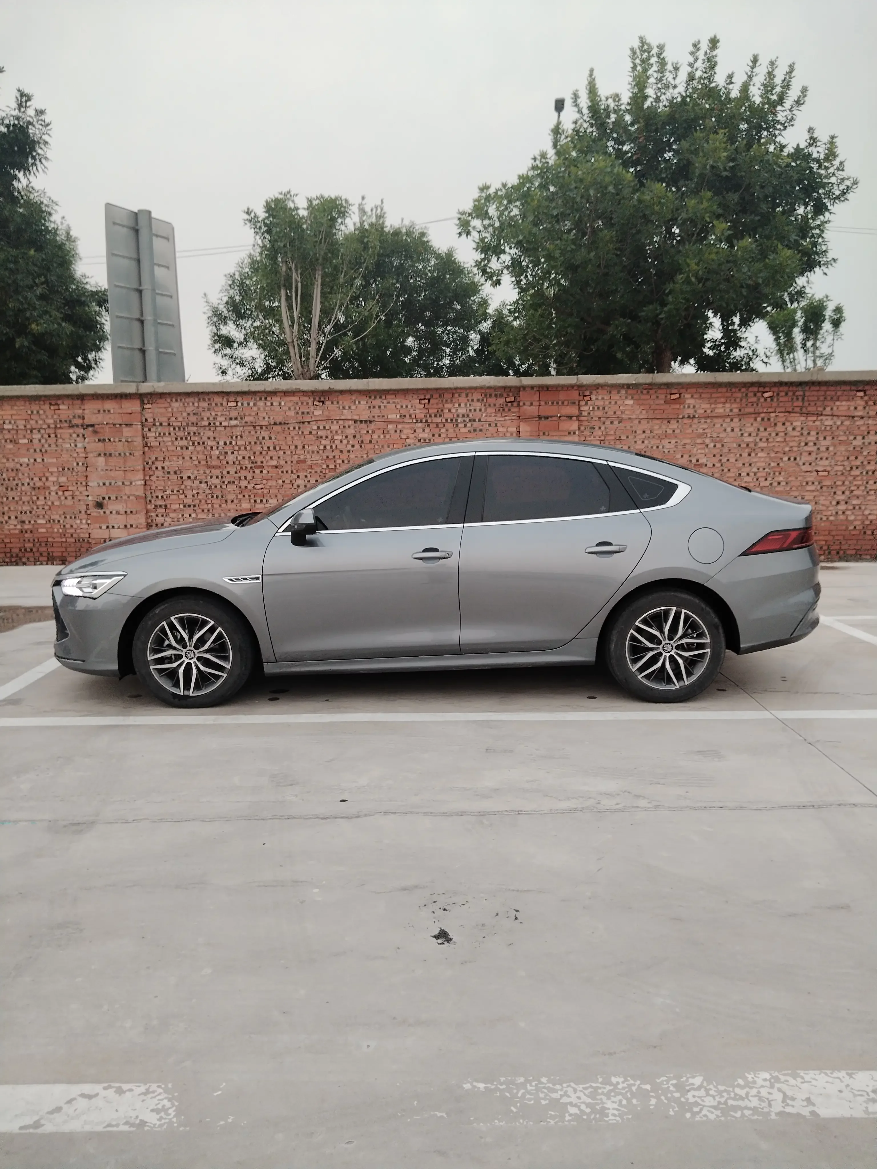 BYD Qin PLUS DM