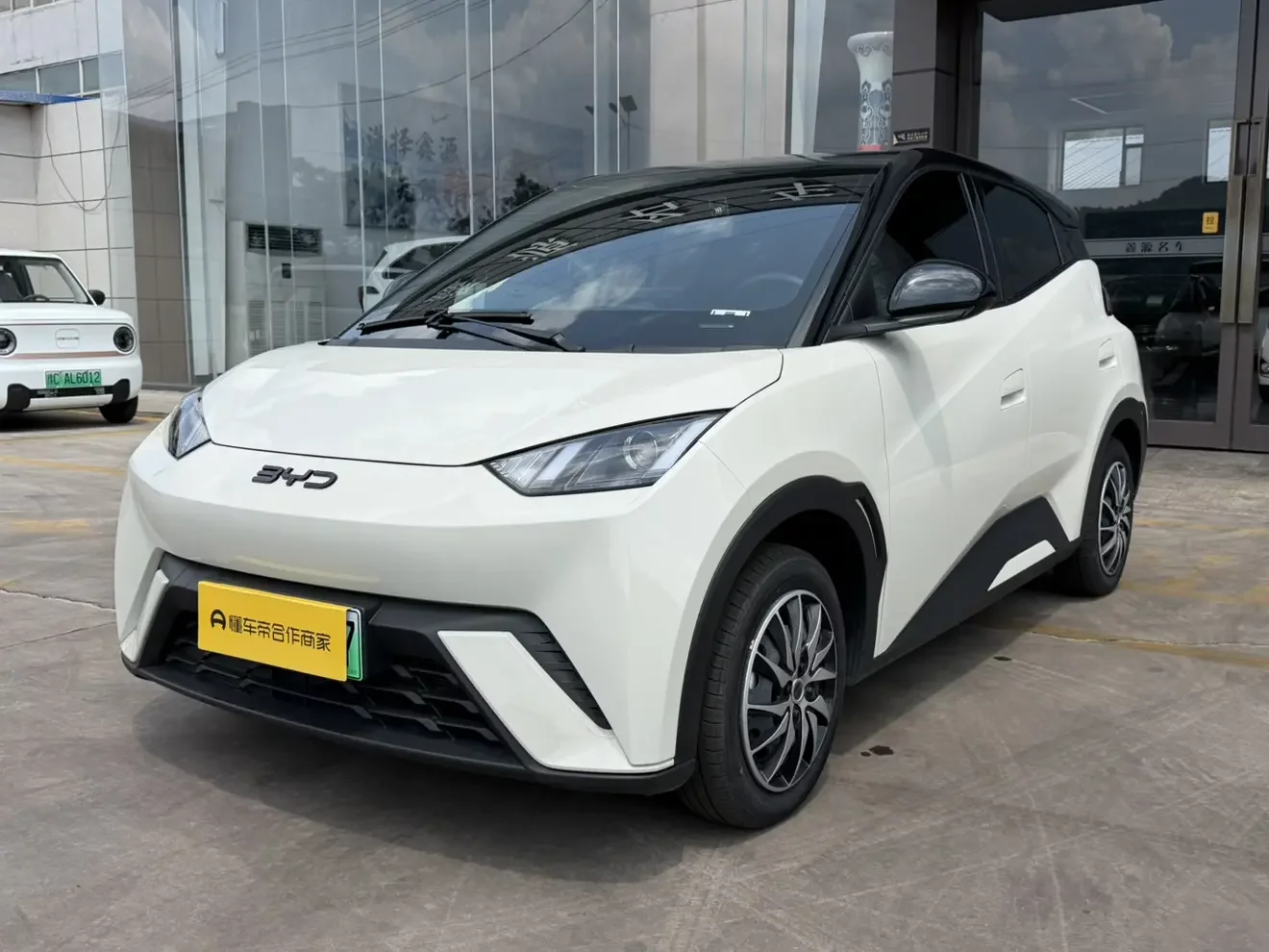 BYD seagull
