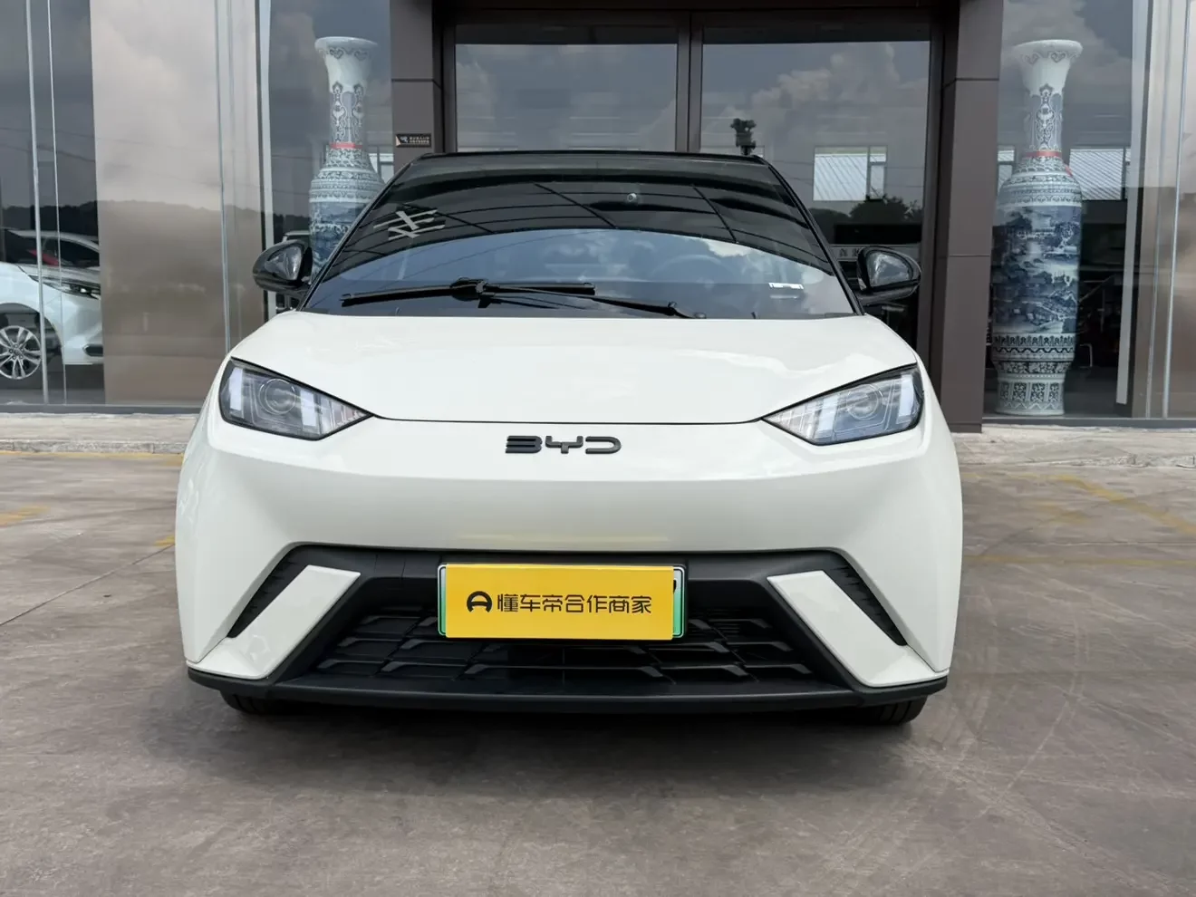 BYD seagull