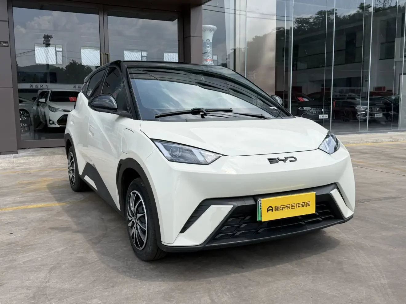 BYD seagull