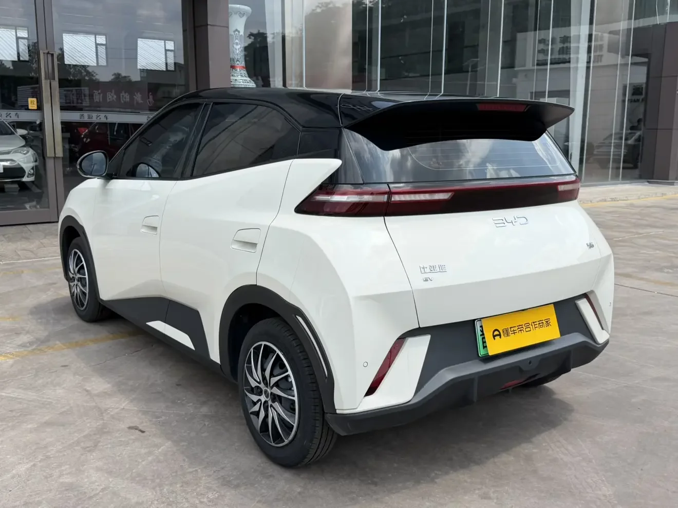 BYD seagull