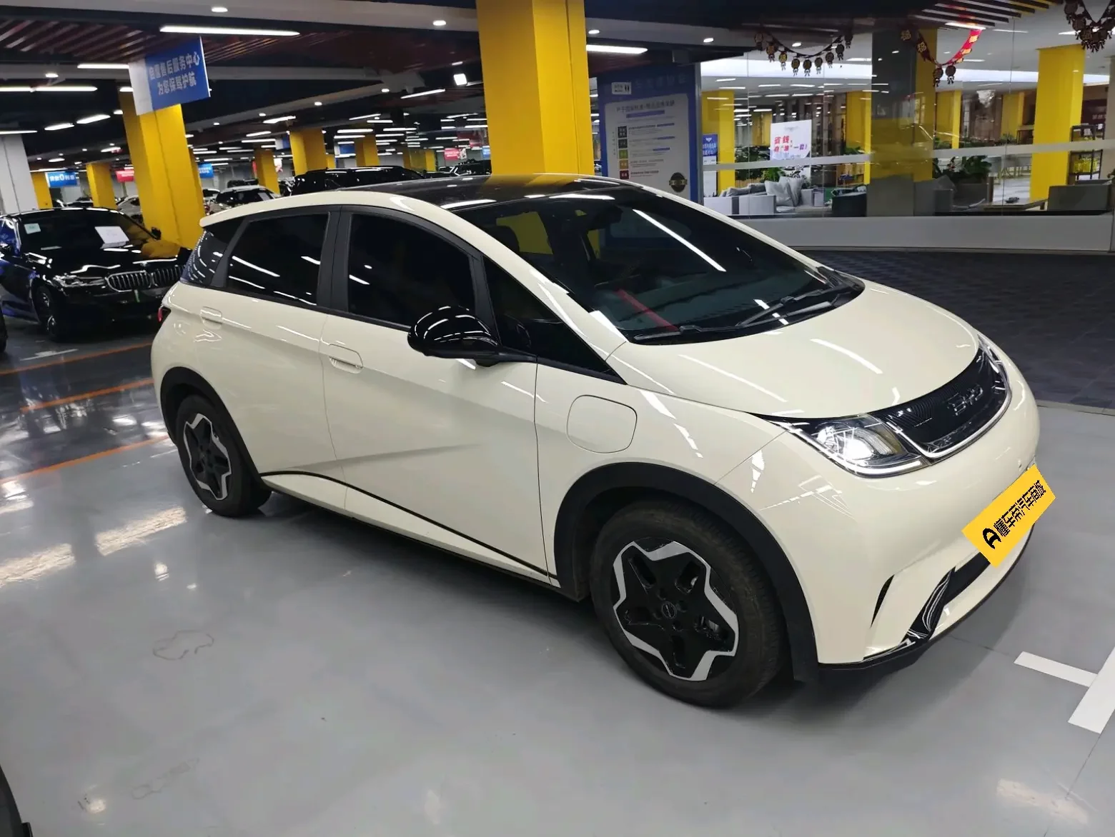 BYD dolphin