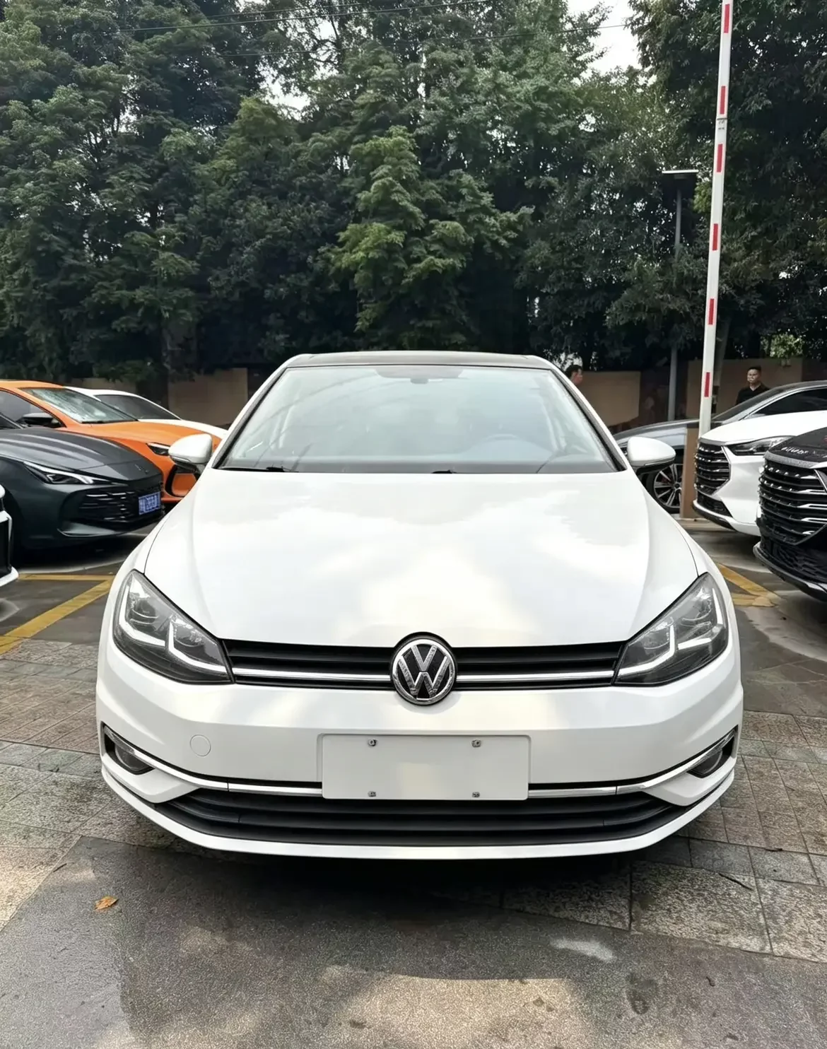 Volkswagen golf