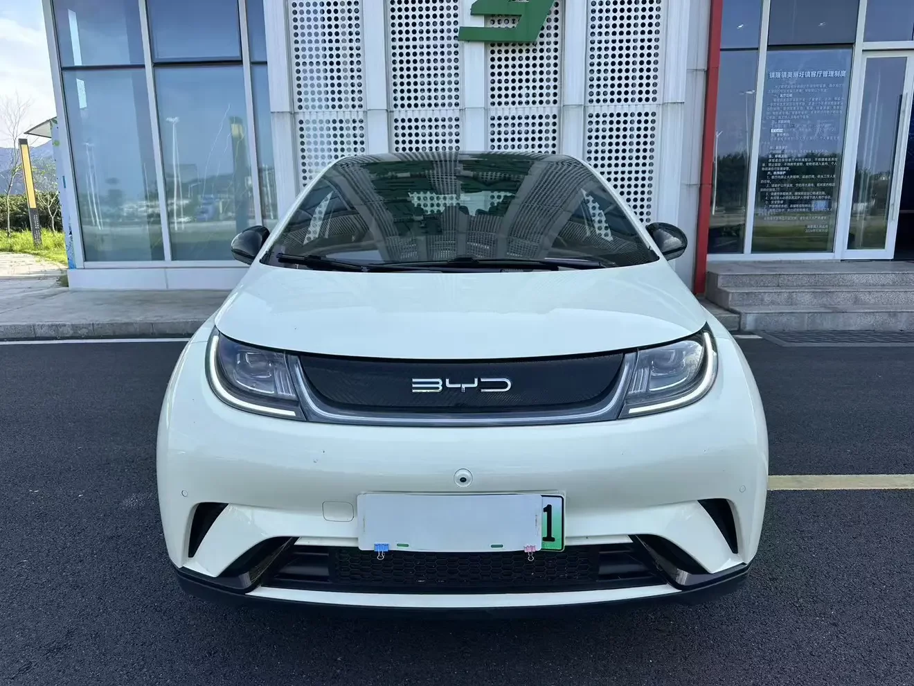 BYD dolphin