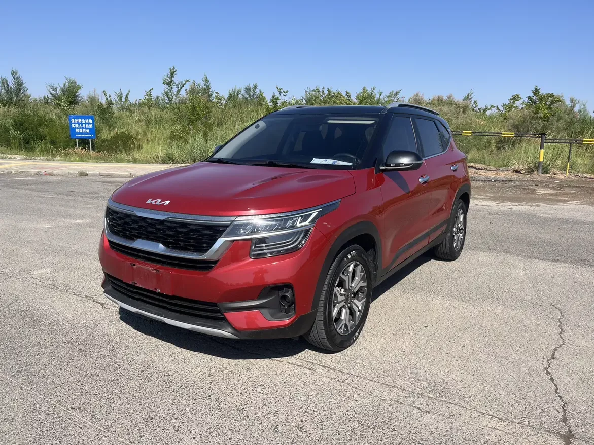 Kia Run proudly  из Китая