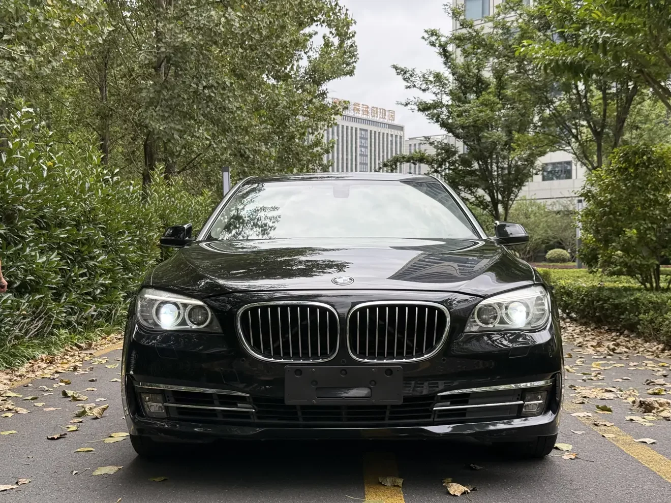 BMW 7 Series  из Китая