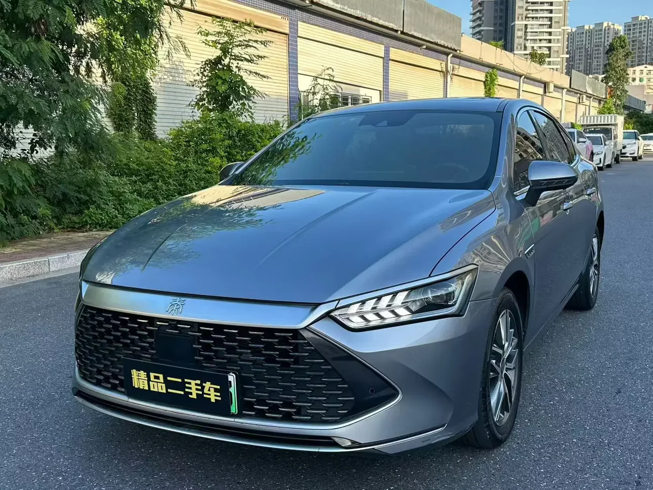 BYD Qin PLUS DM