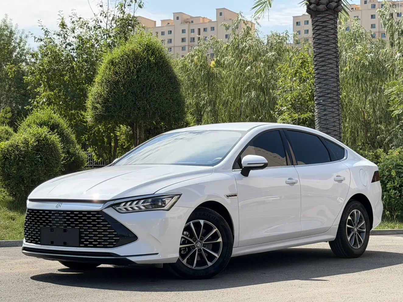 BYD Qin PLUS DM