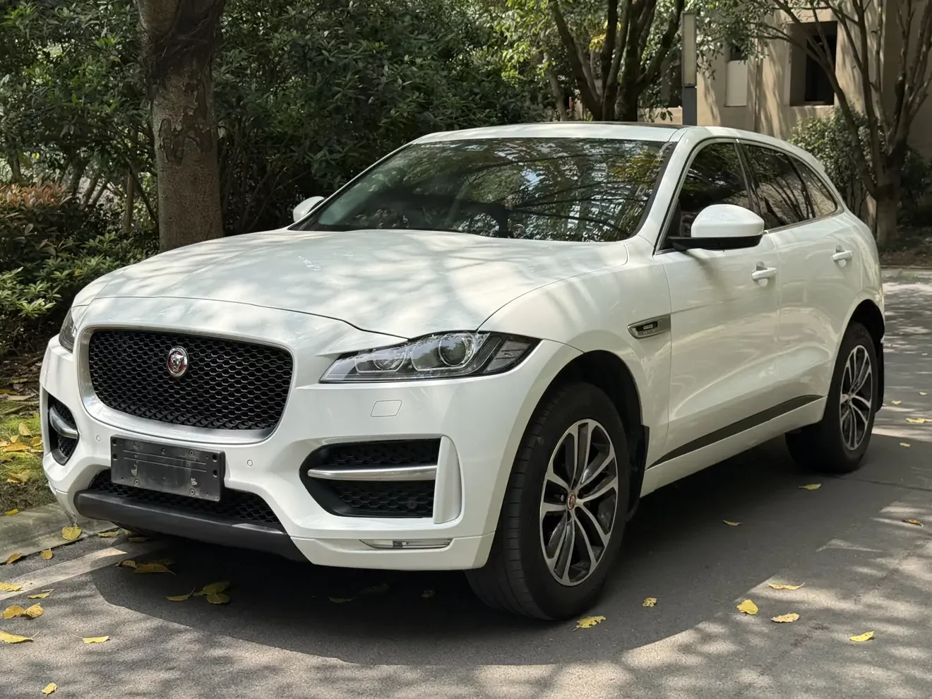Jaguar F-PACE  из Китая