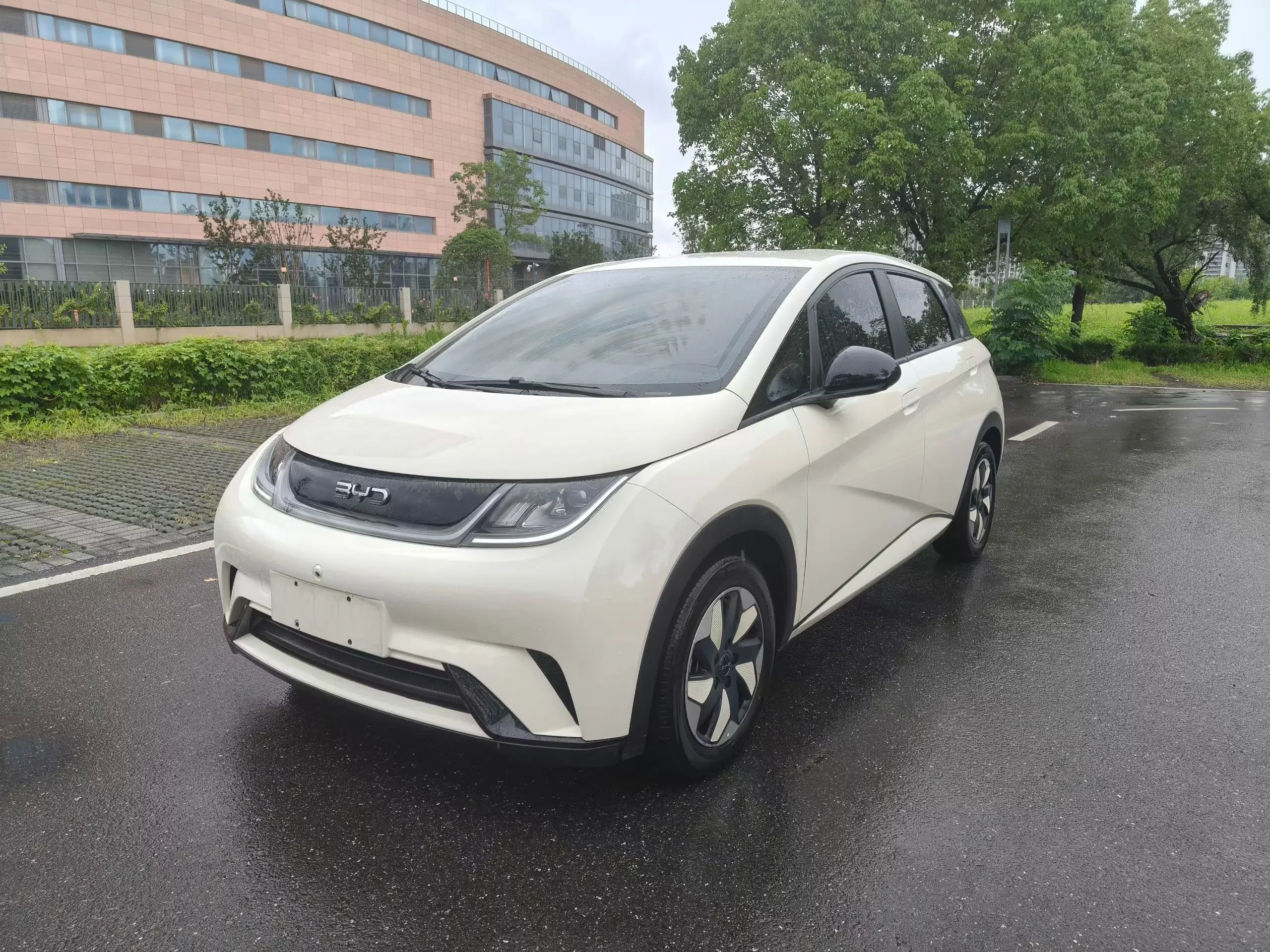 BYD dolphin