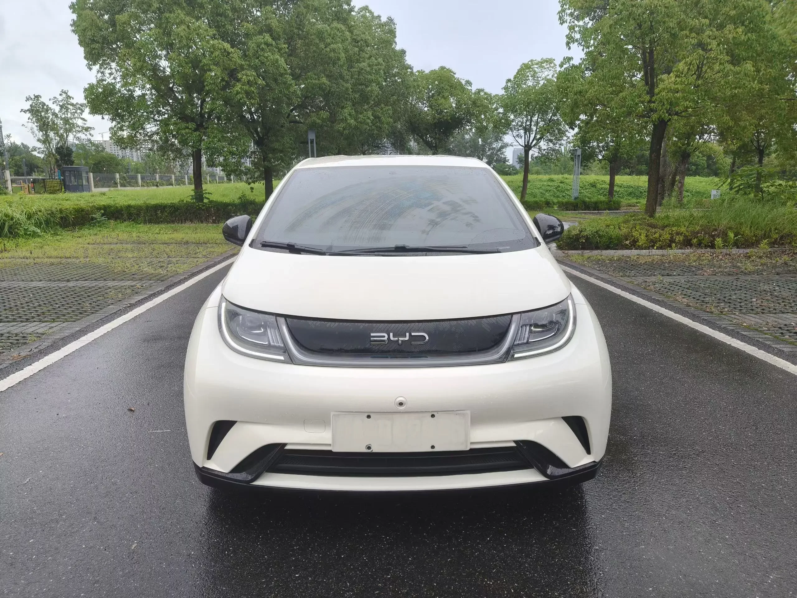 BYD dolphin