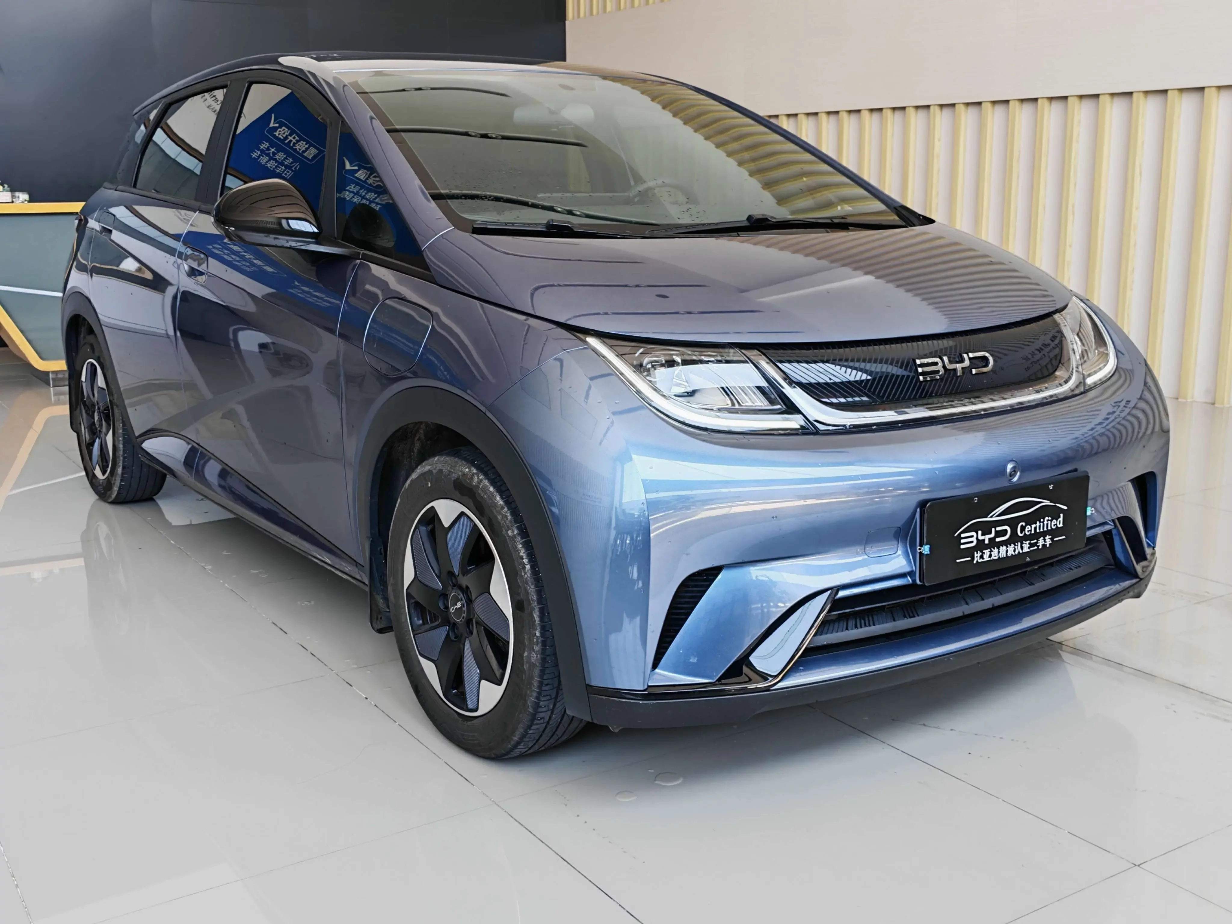 BYD dolphin