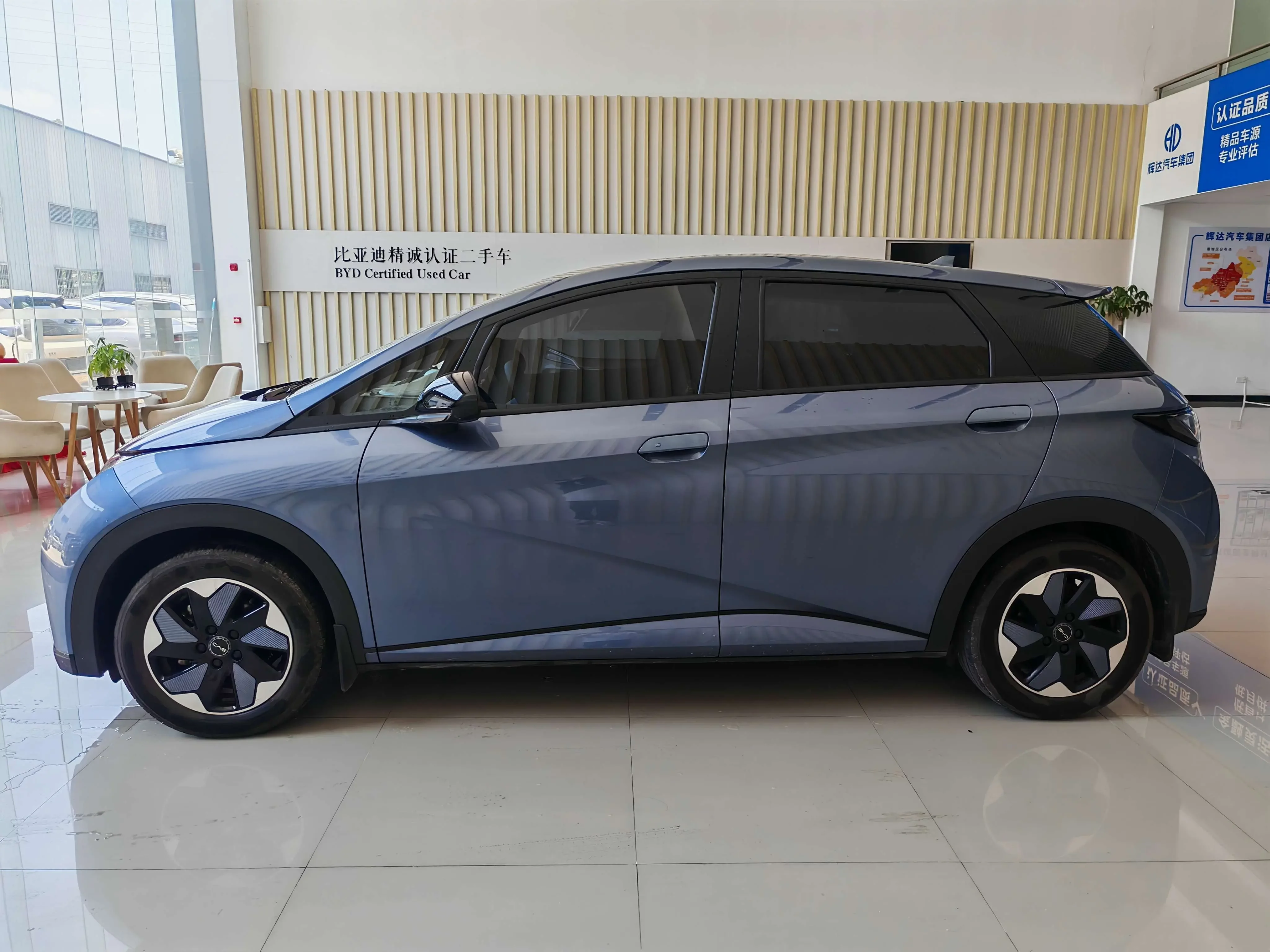 BYD dolphin