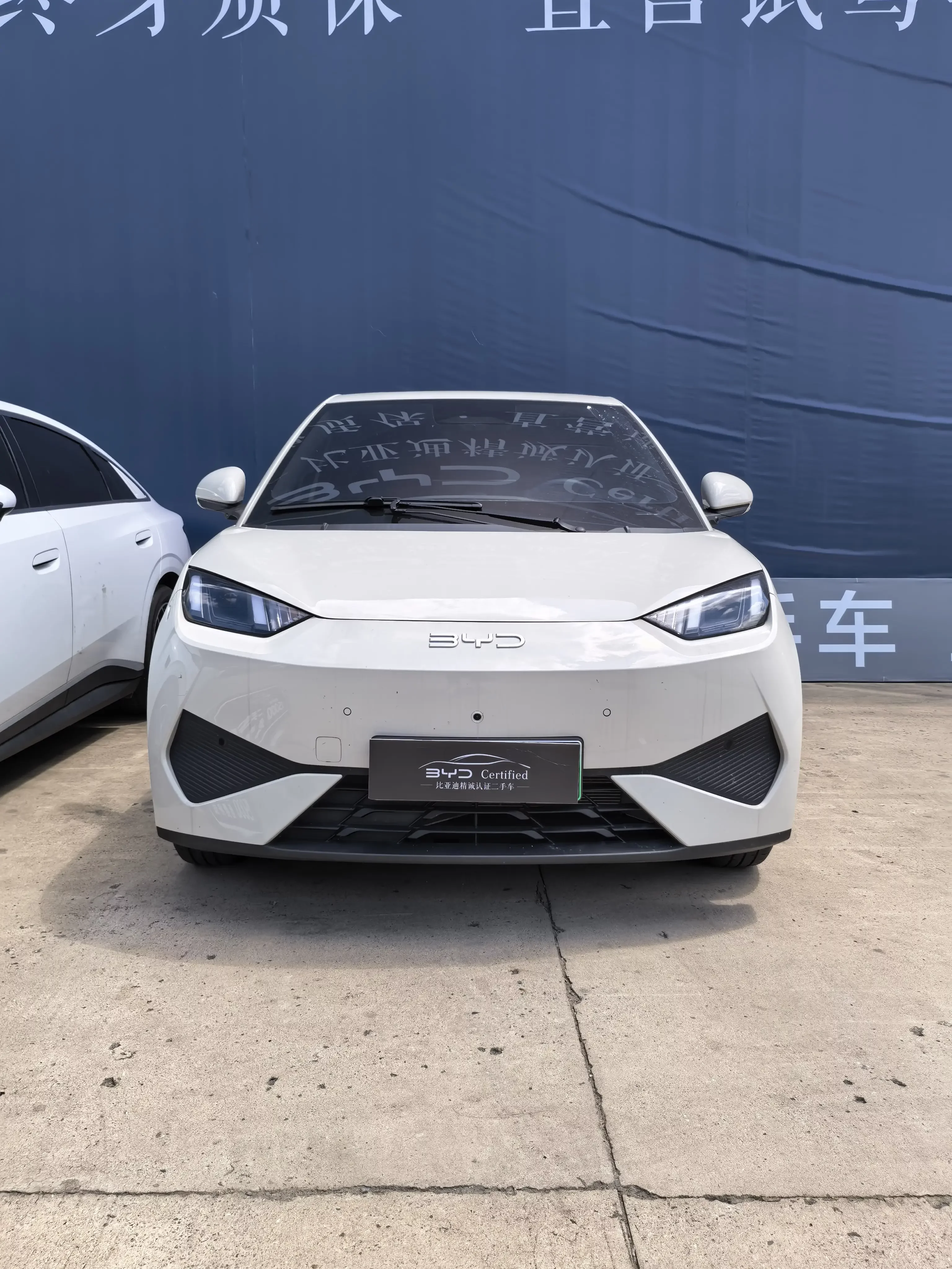 BYD seagull