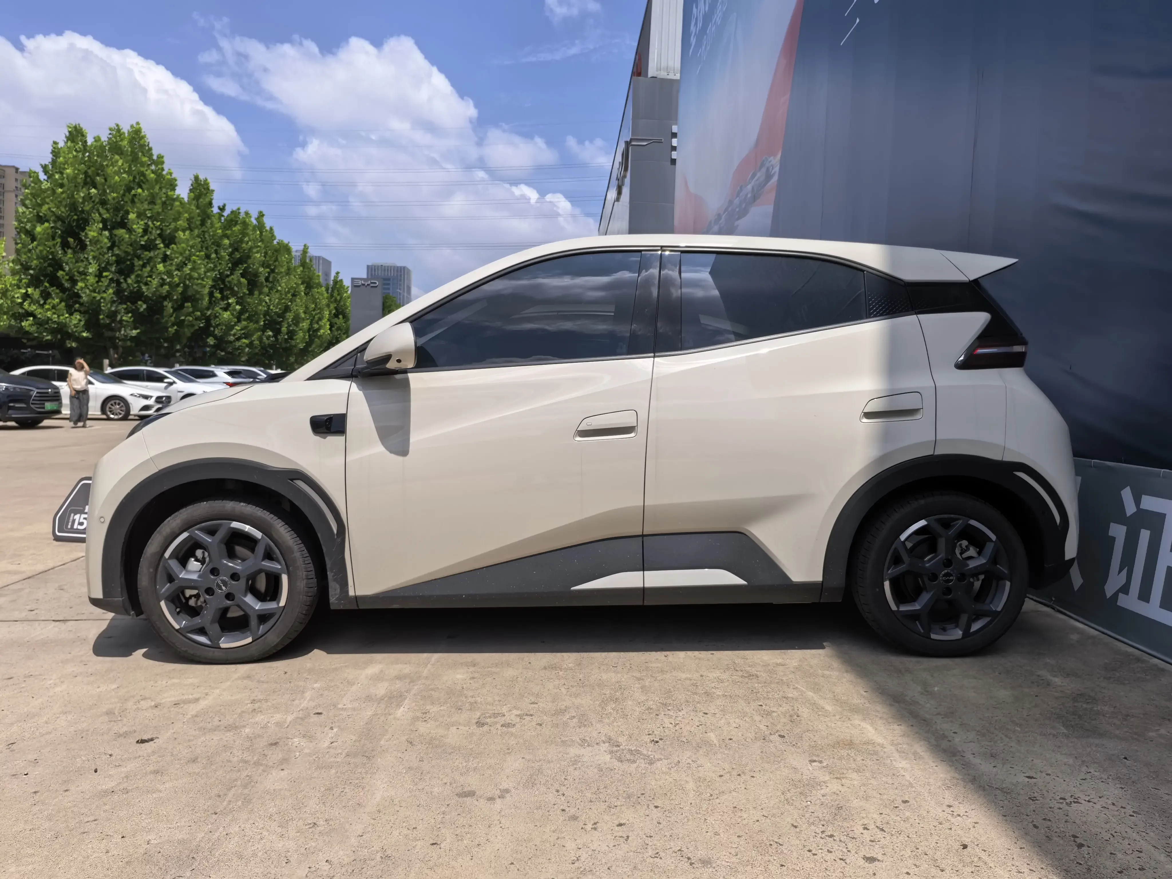 BYD seagull