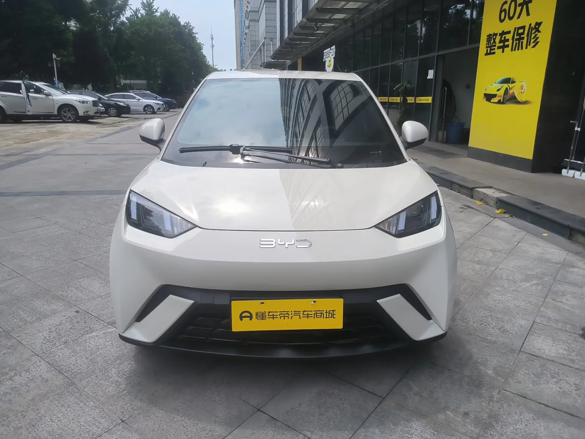 BYD seagull