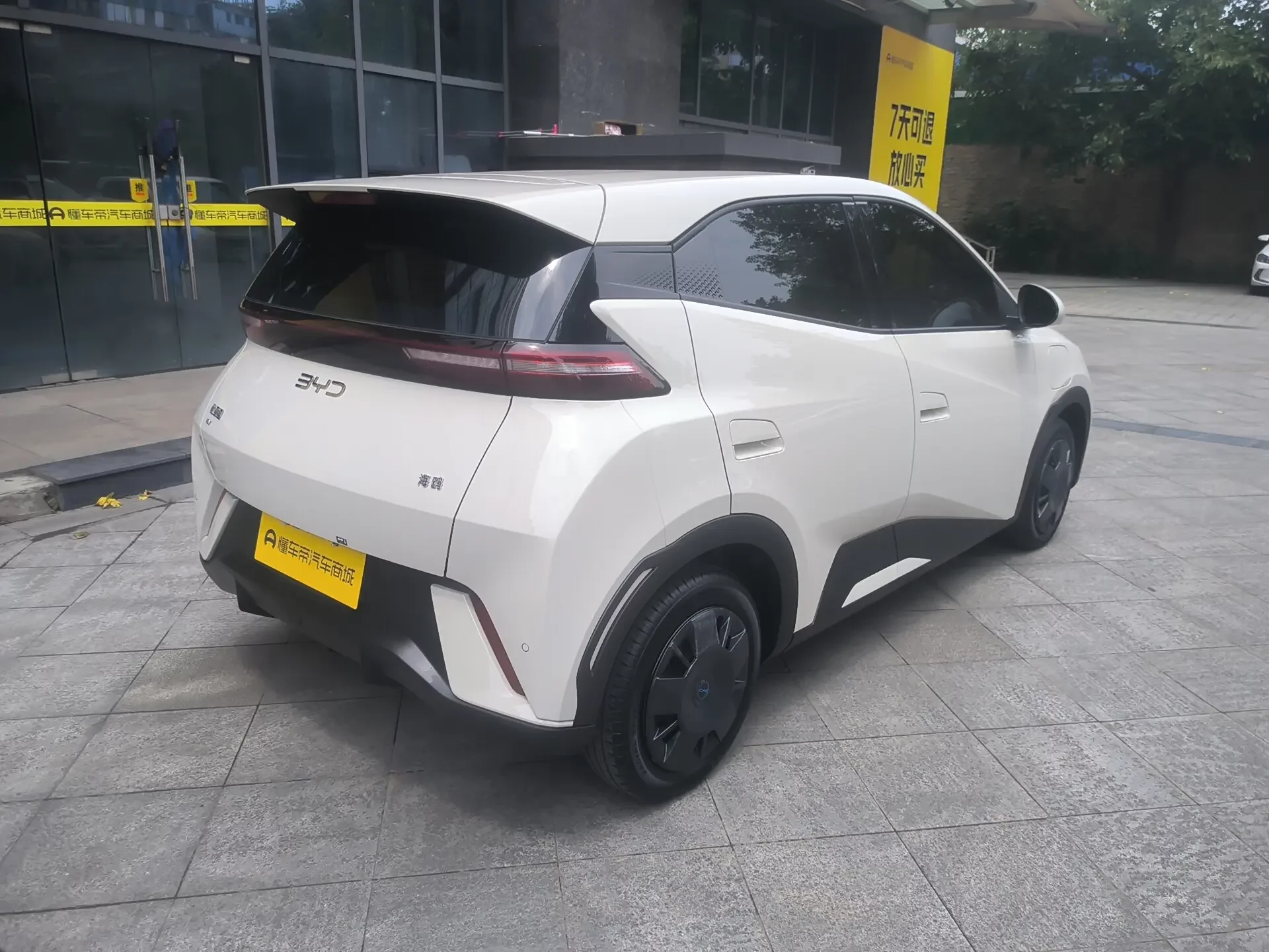 BYD seagull