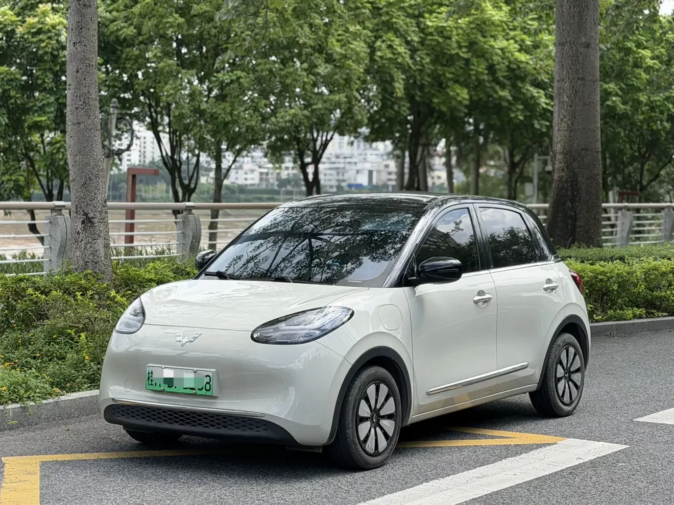 Wuling Bingo