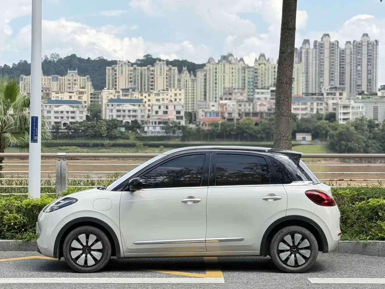 Wuling Bingo