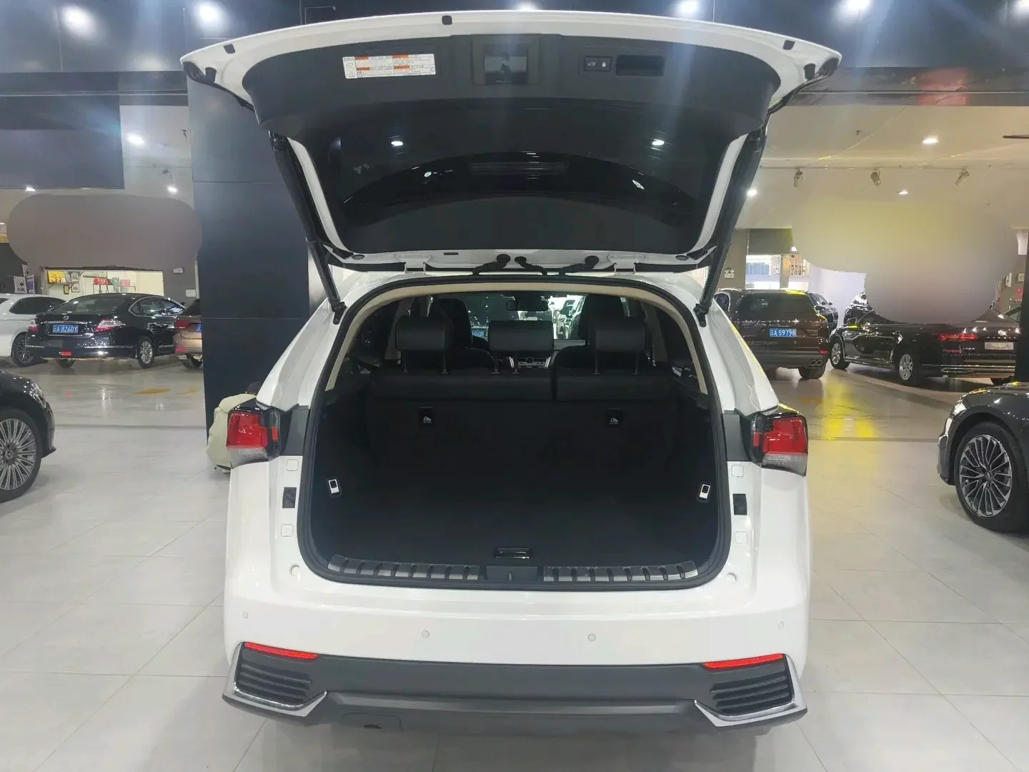 catalog-car-20