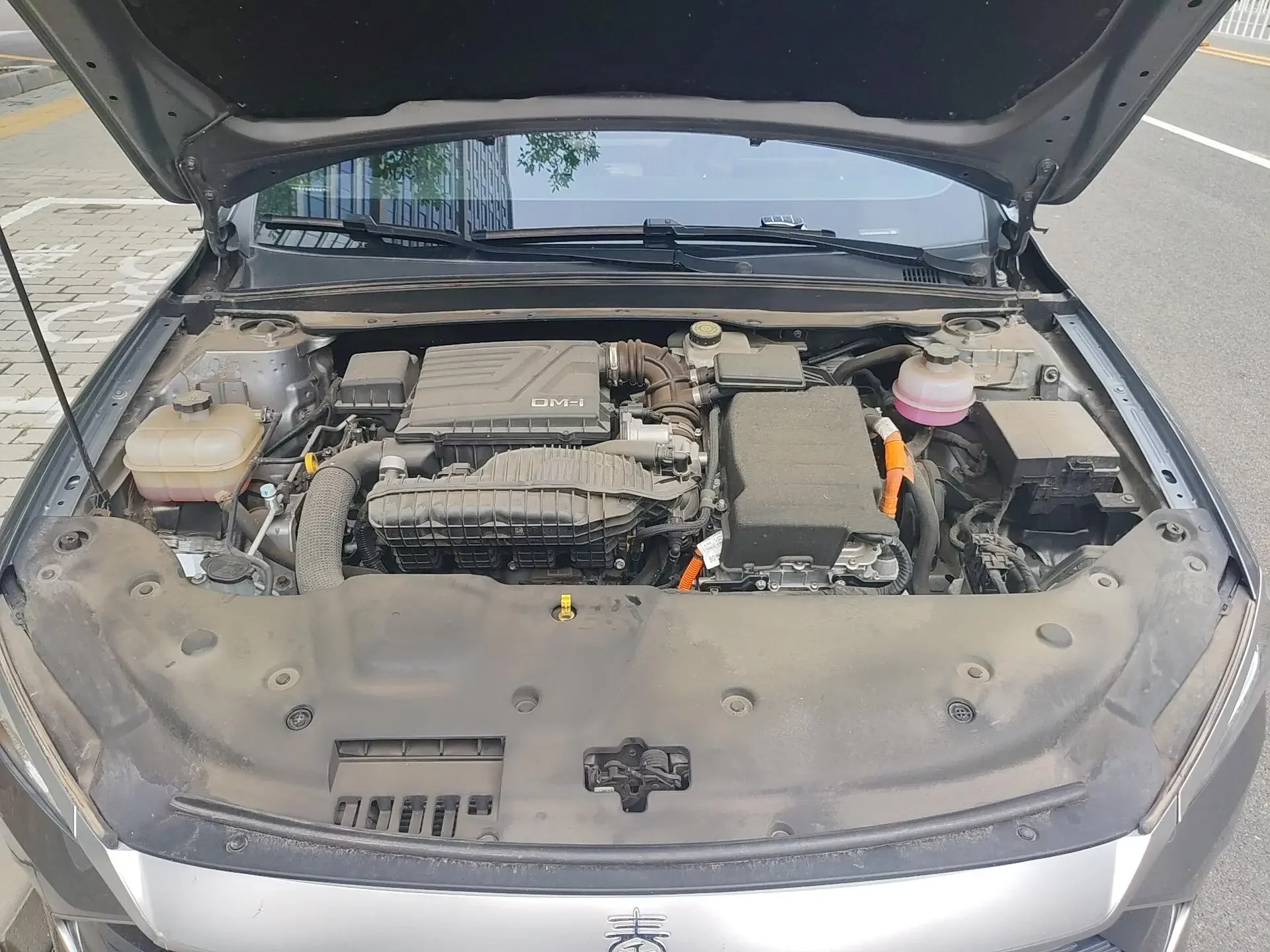 catalog-car-19