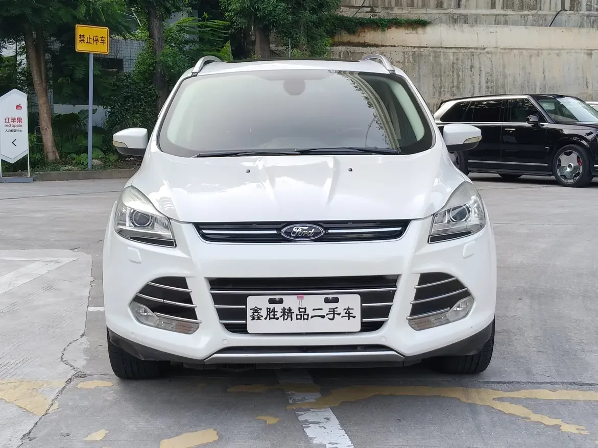 Ford wing tiger  из Китая