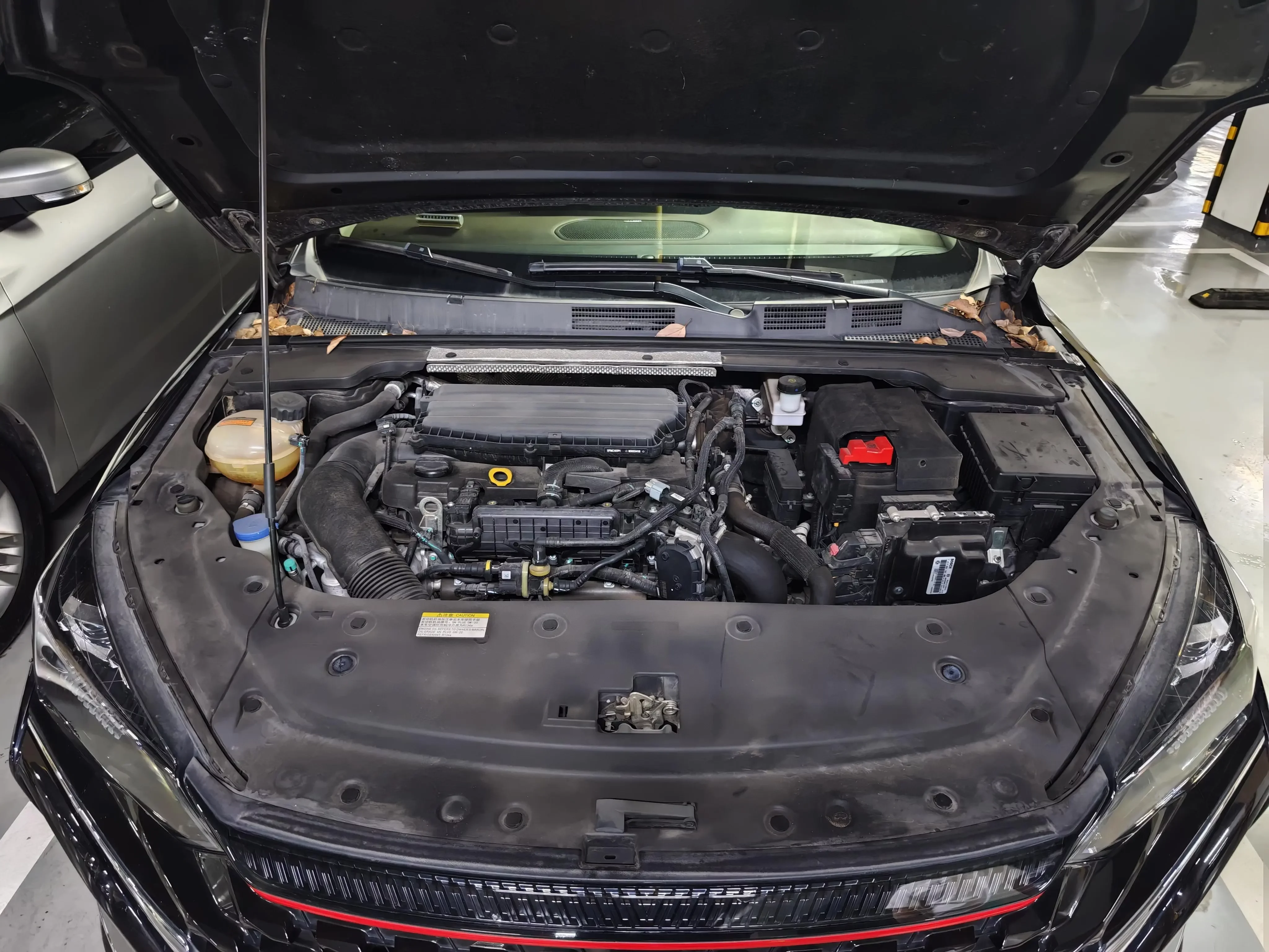 catalog-car-19