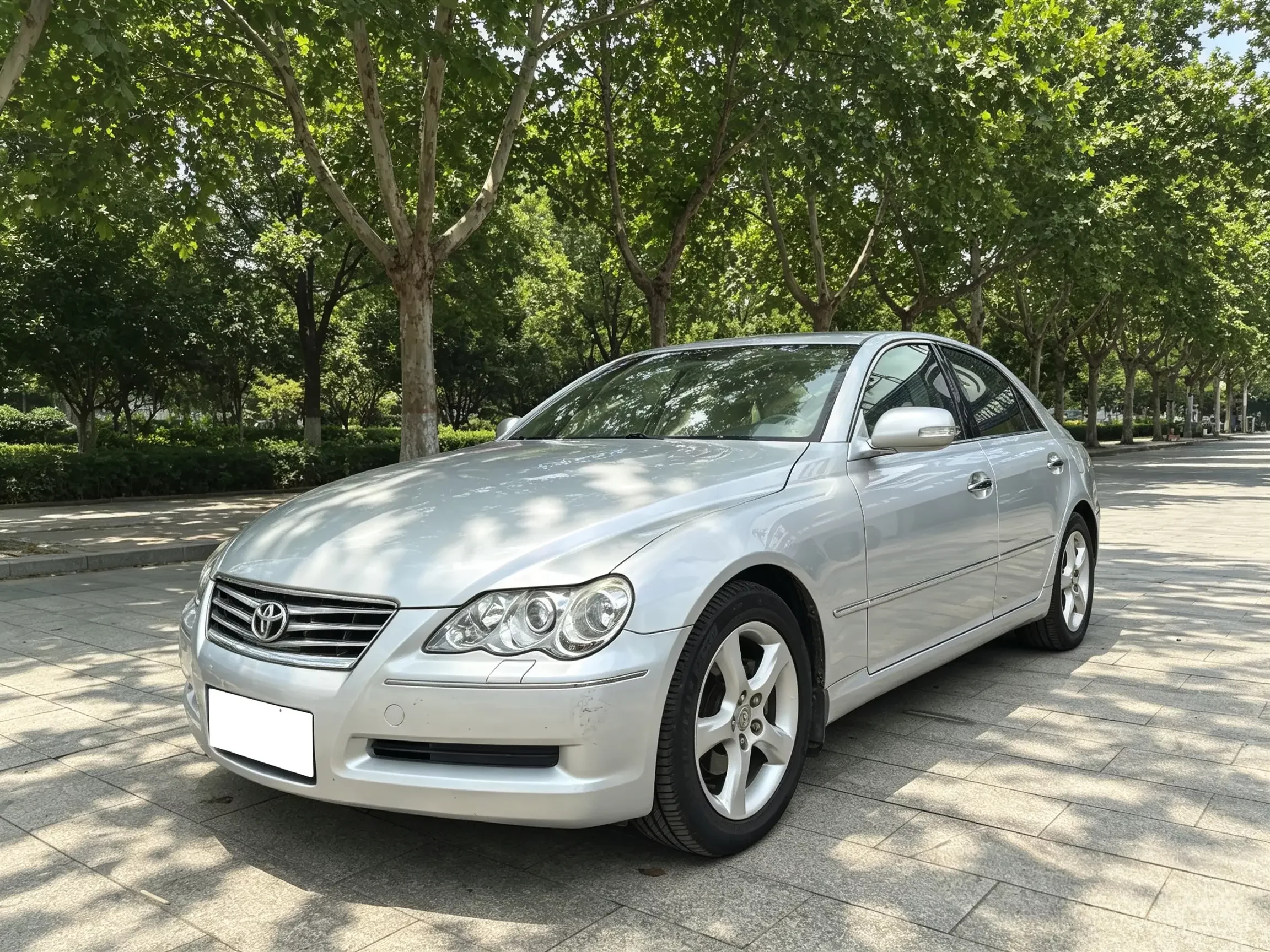 Toyota Ruizhi