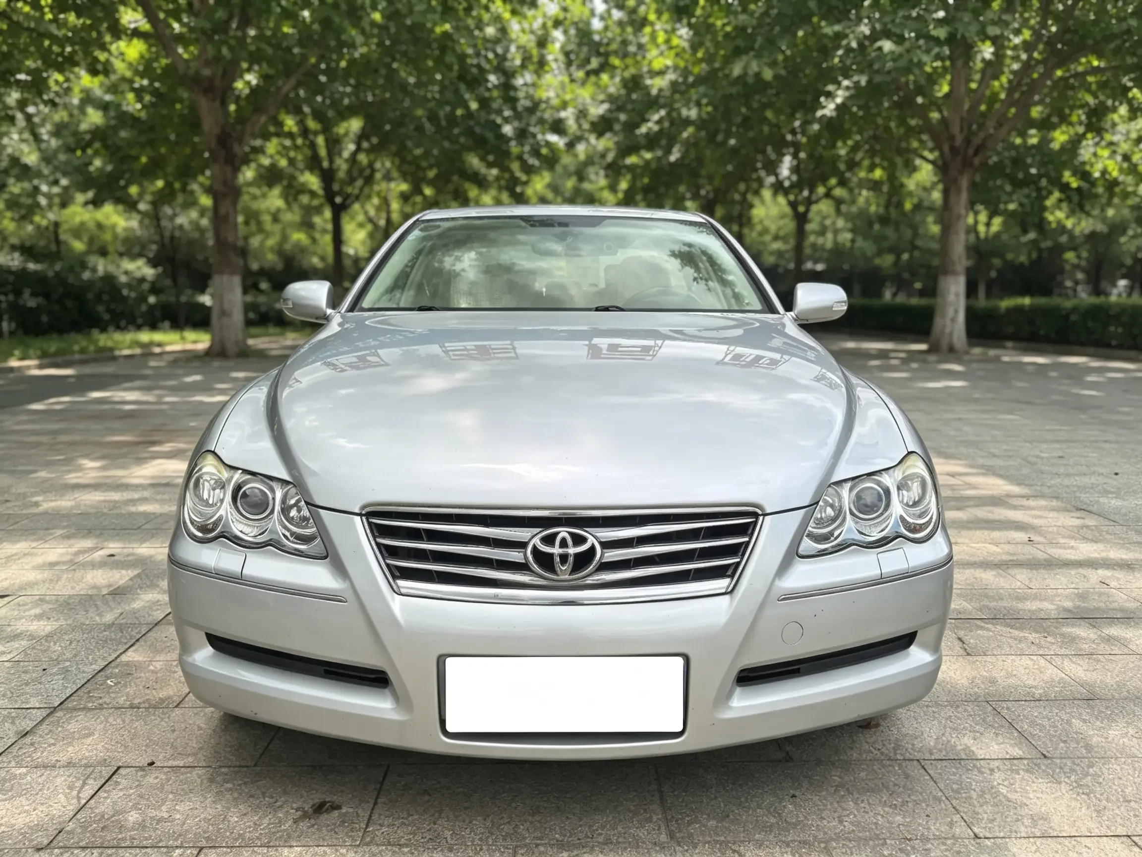 Toyota Ruizhi
