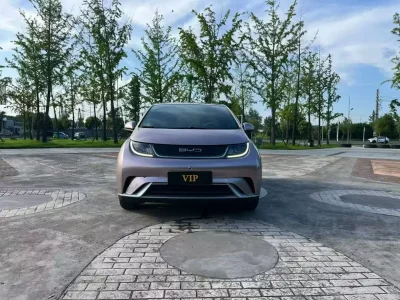 BYD Dolphin