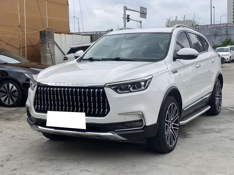 Cheetah cars Mattu  из Китая