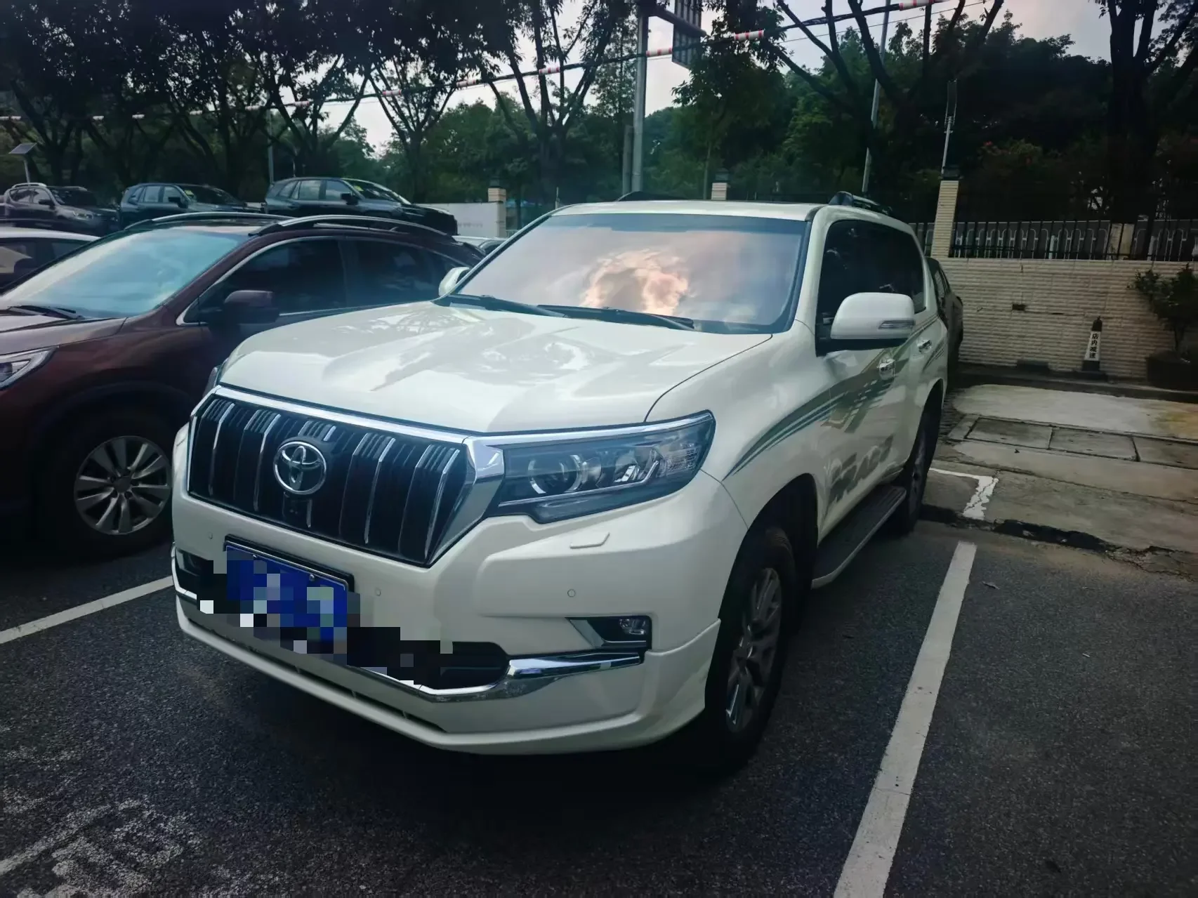 Toyota prado
