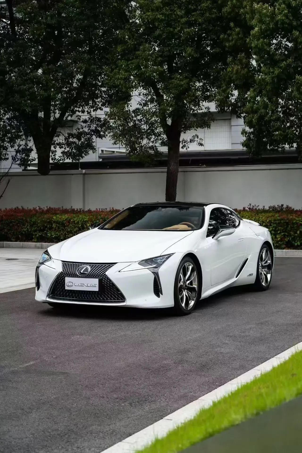 catalog-car-1
