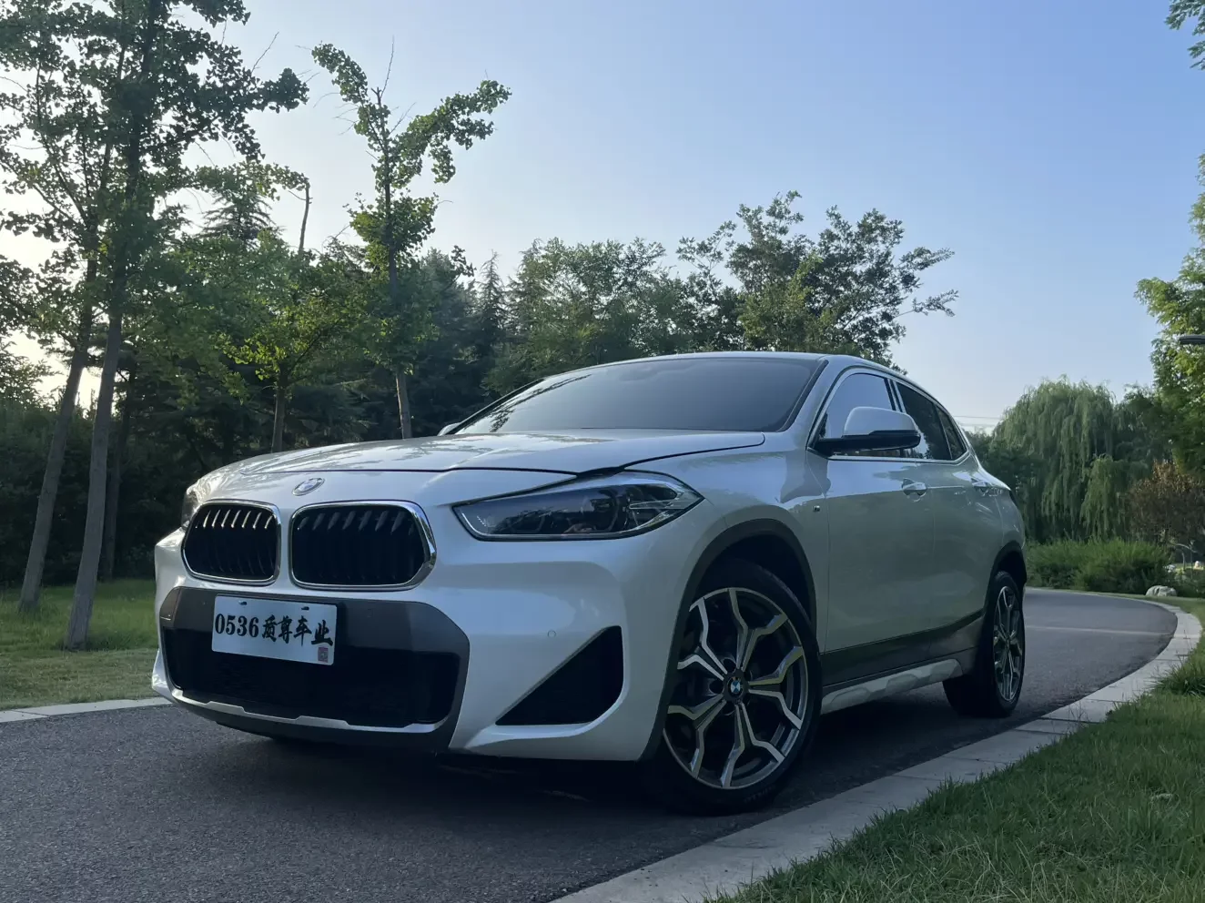 BMW X2  из Китая