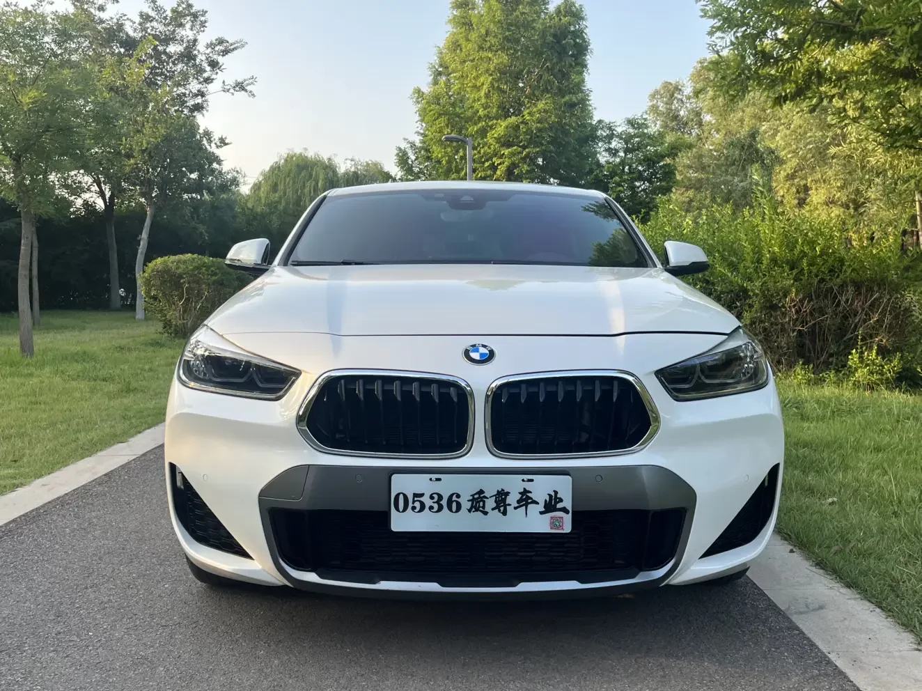 BMW X2  из Китая