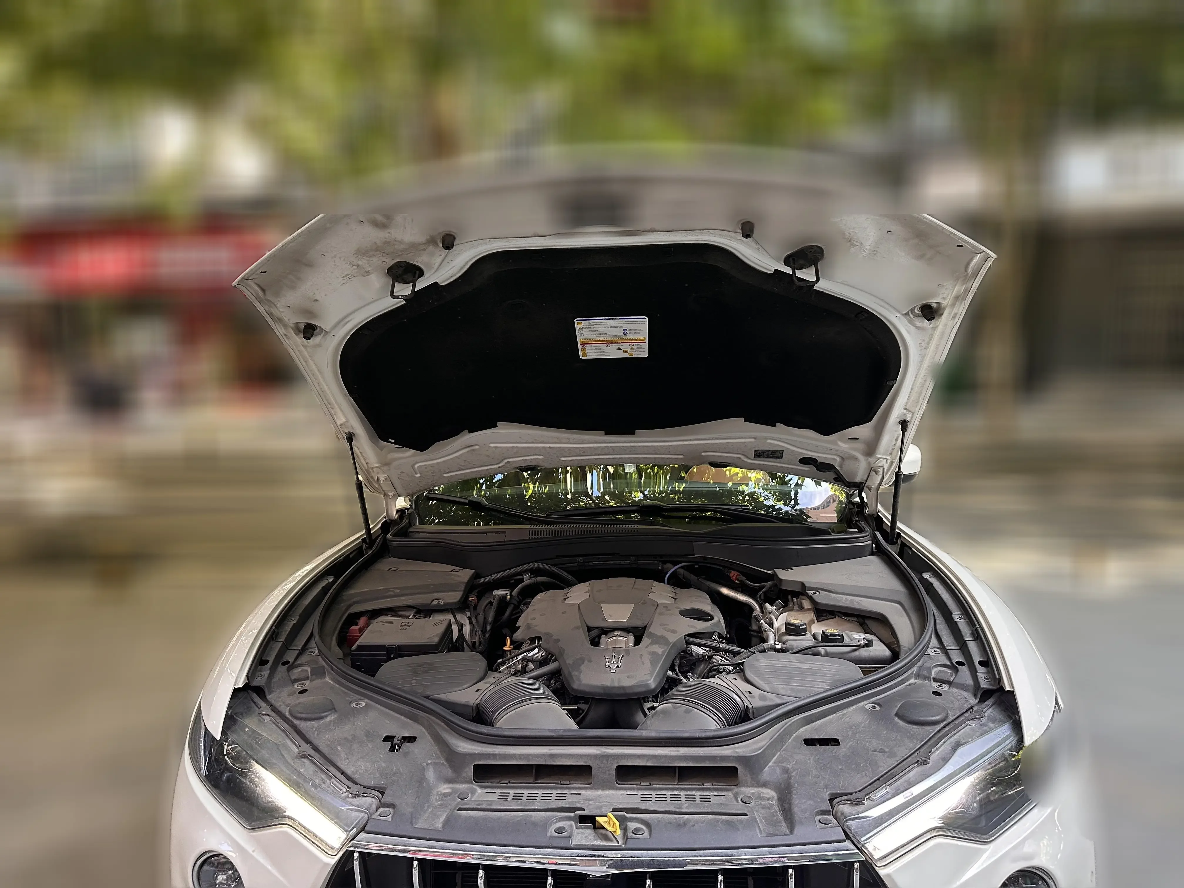 catalog-car-19