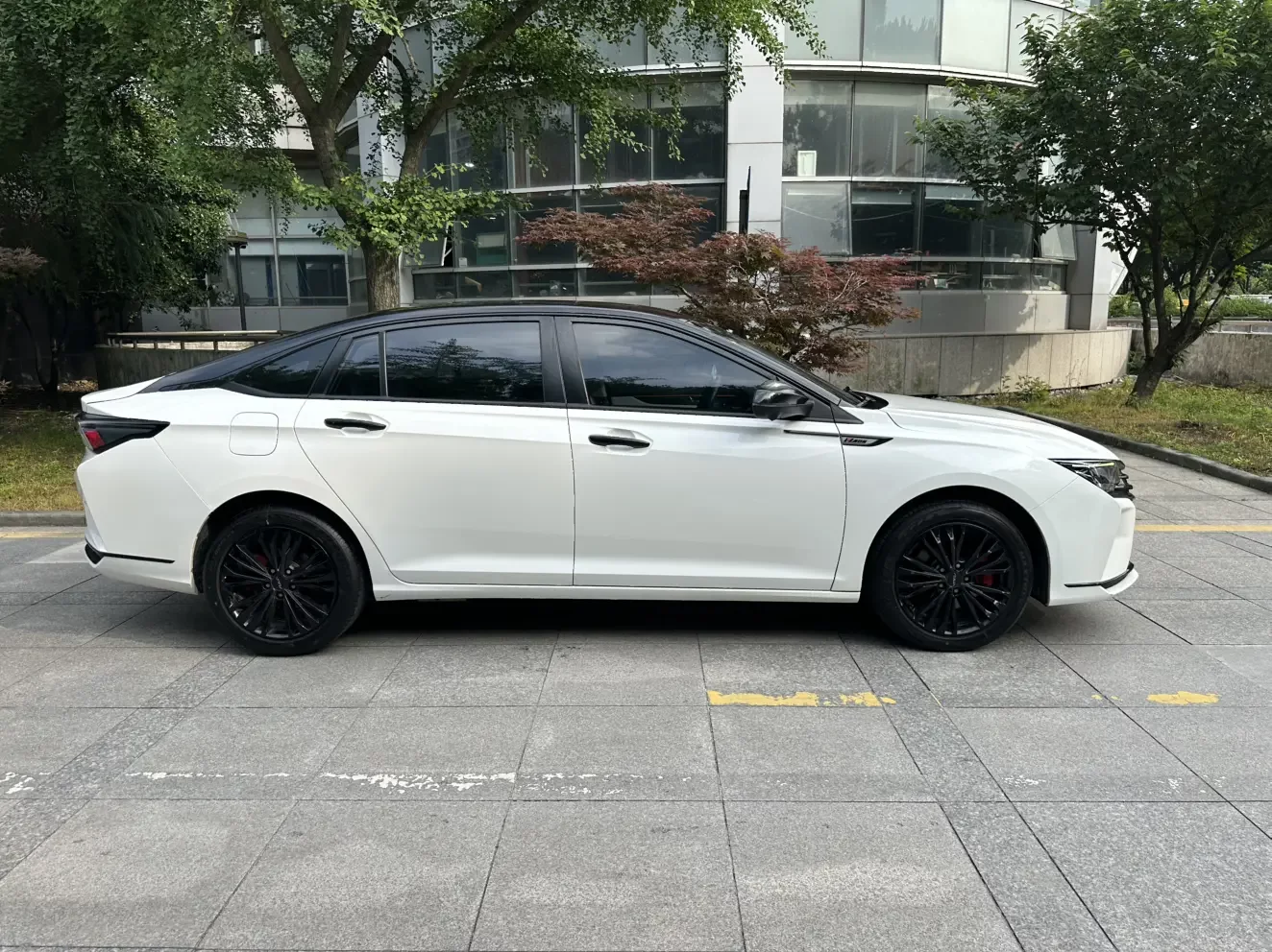 catalog-car-6