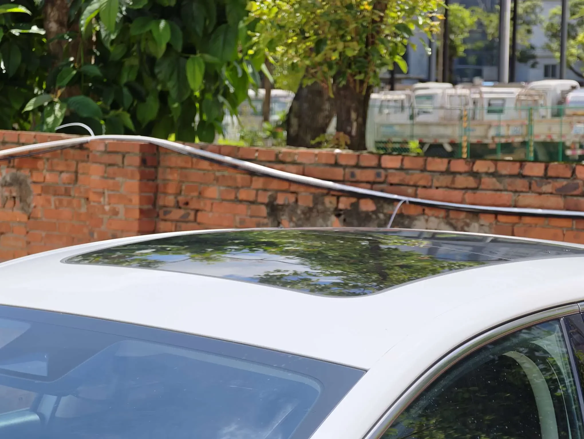 catalog-car-14