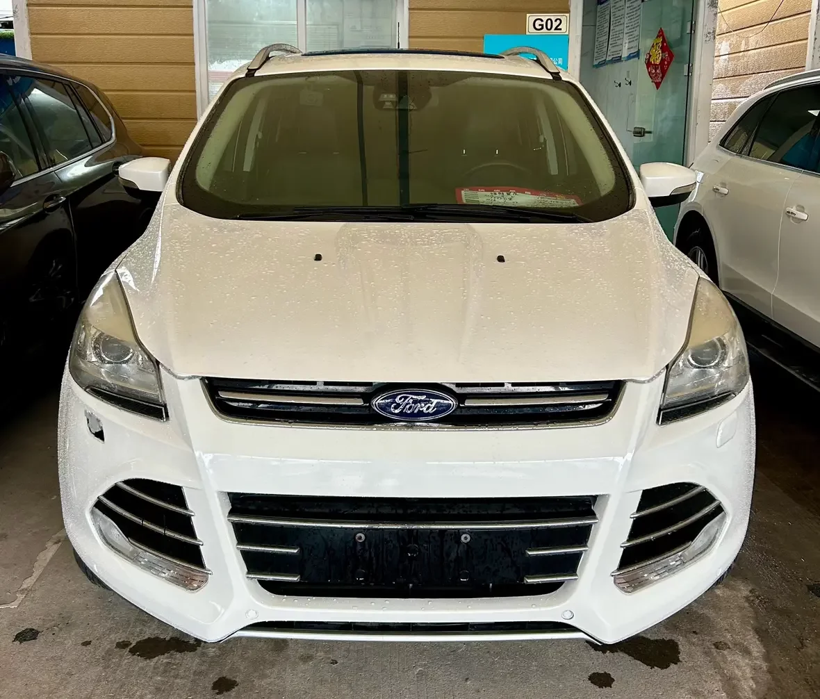 Ford wing tiger  из Китая