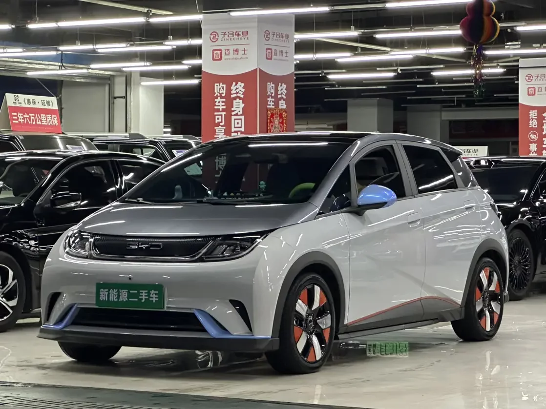 BYD DOLPHIN