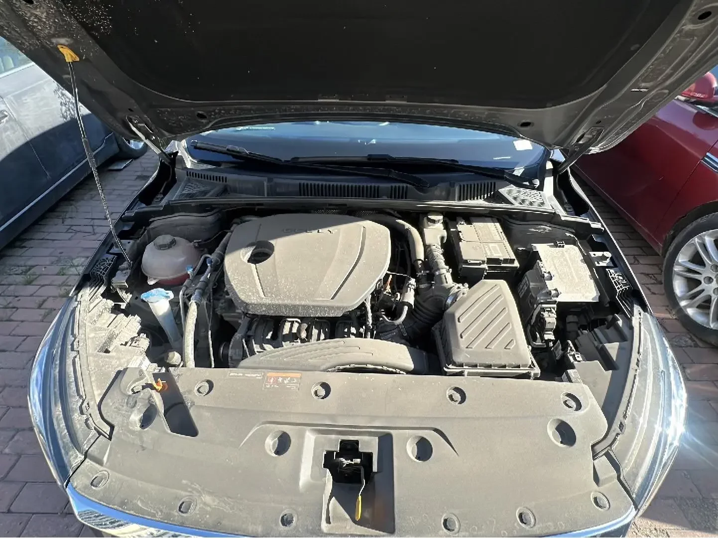 catalog-car-19