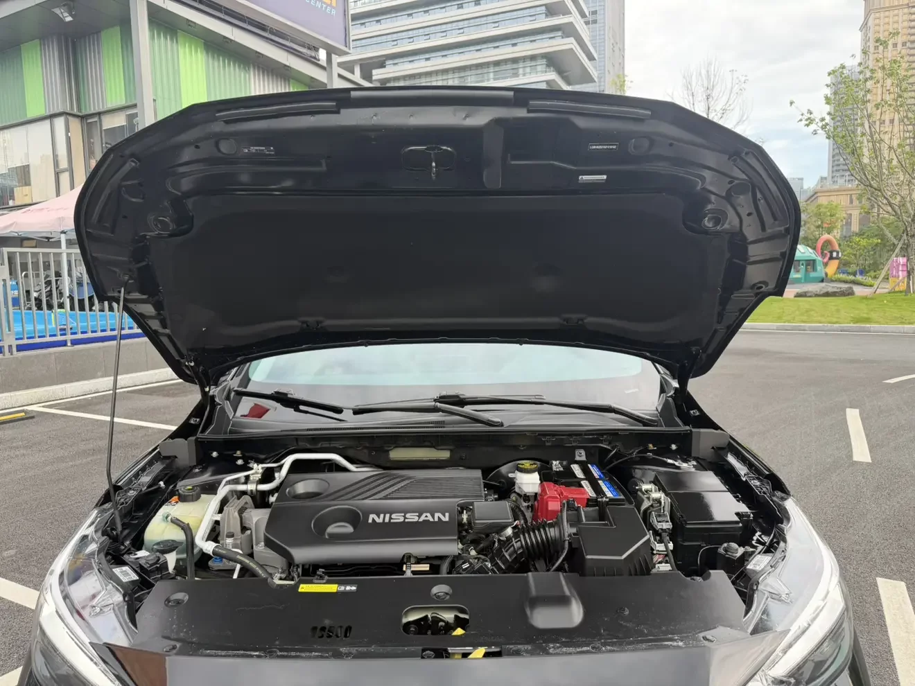 catalog-car-8