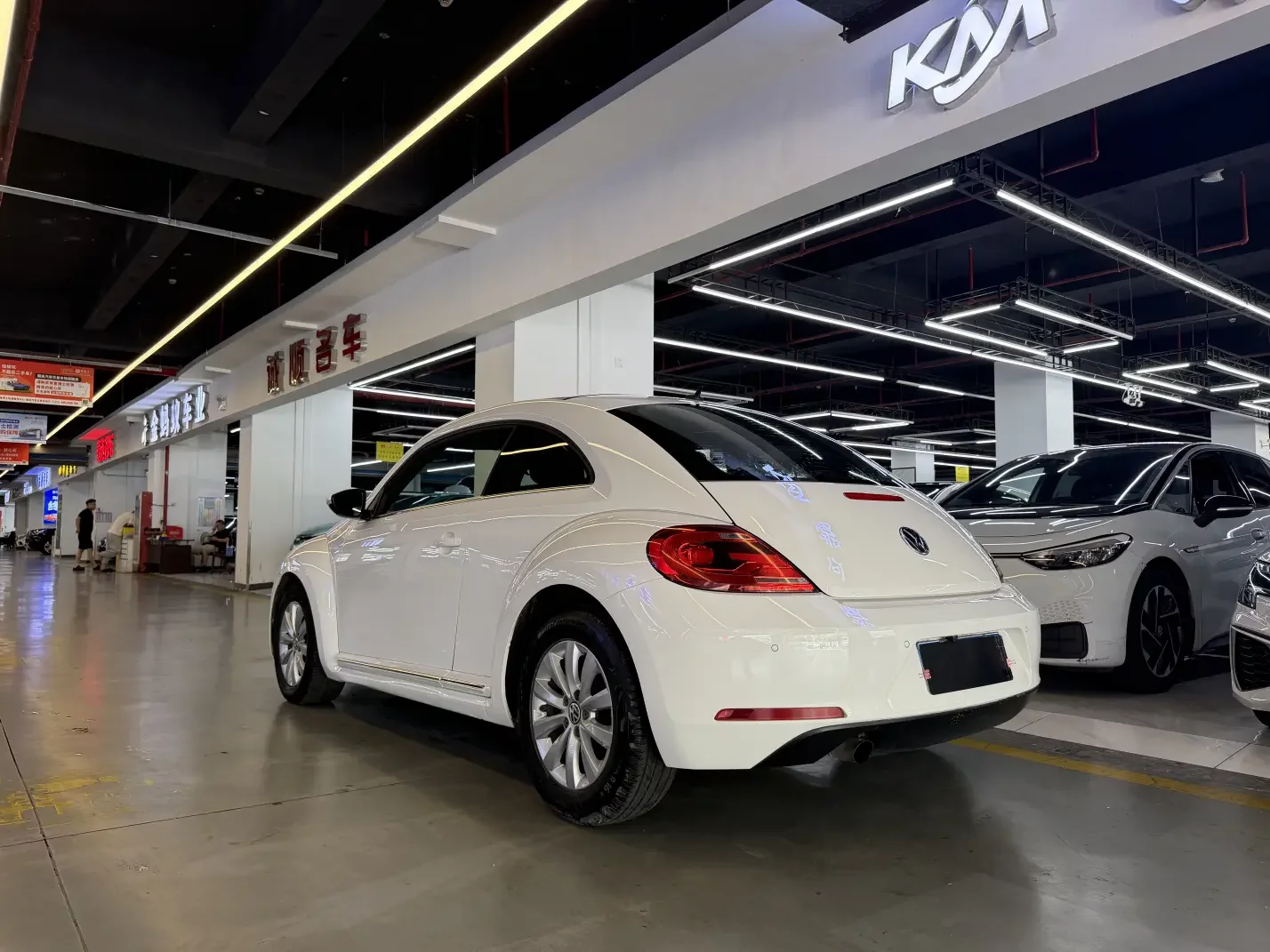 Volkswagen Beetle